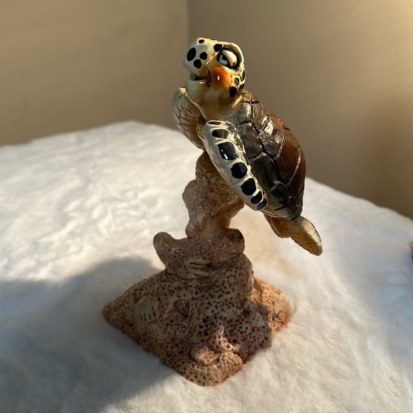 Beasties "Siesta" the Sea Turtle by John Raya - Picture 1 of 11